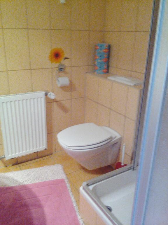 Apartment Apartmanydanielova Ceska Lipa